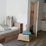 Apartmán Business